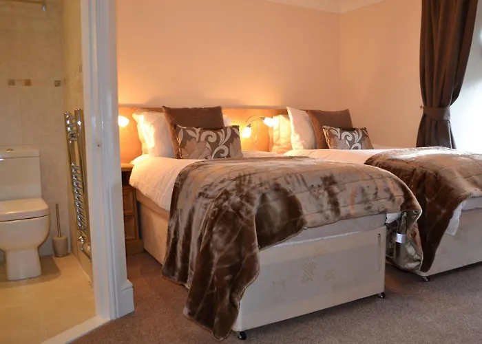 Duckling Bowness-on-Windermere